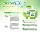 SEED Forest Leaf EX